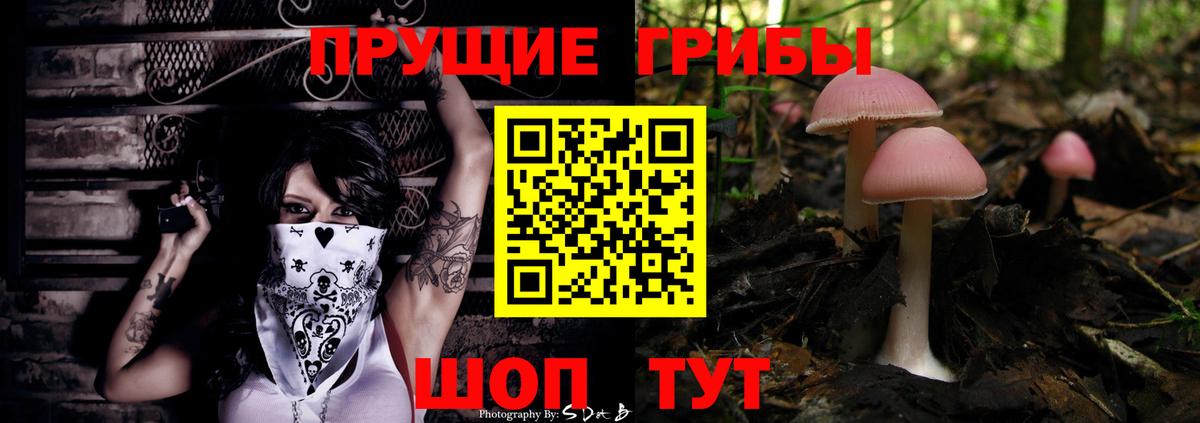 Псилоцибиновые грибы ЛСД  Вход с VPN  Галлюциногенные грибы GOLDEN TEACHER  Дедовск 